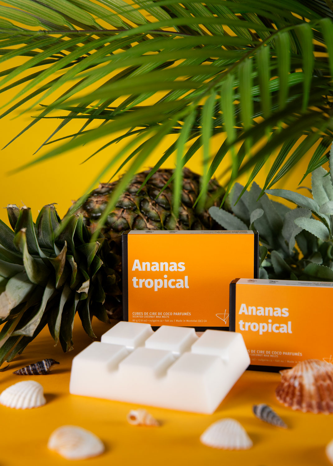 Cubes de cire Ananas tropical