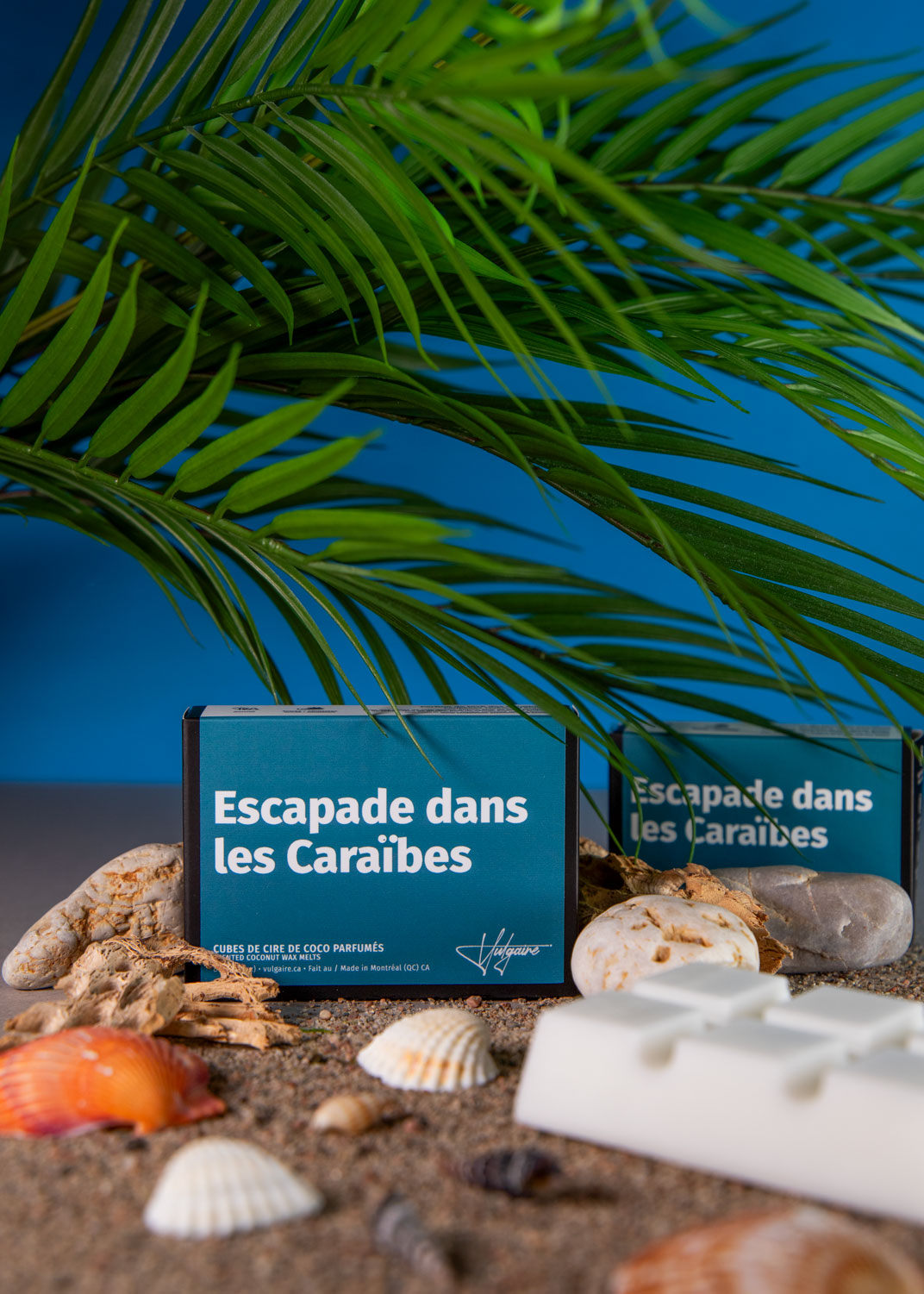 Cubes de cire Escapade dans les Caraïbes