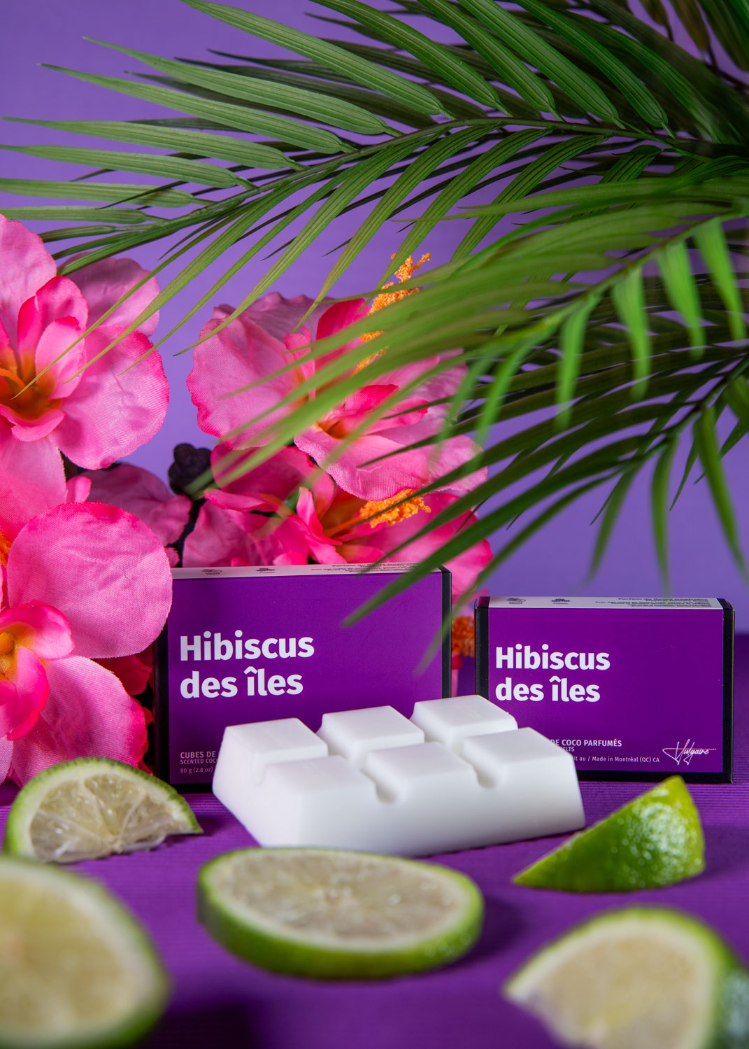 Cubes de cire Hibiscus des îles