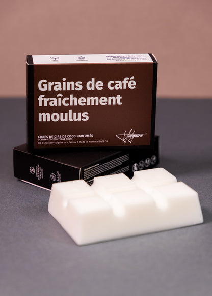 Cubes de cire Grains de café fraîchement moulus