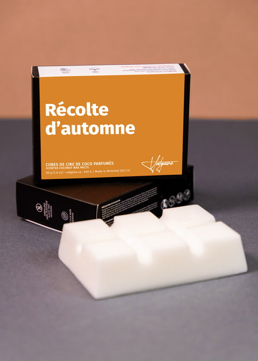 Cubes de cire Récolte d'automne