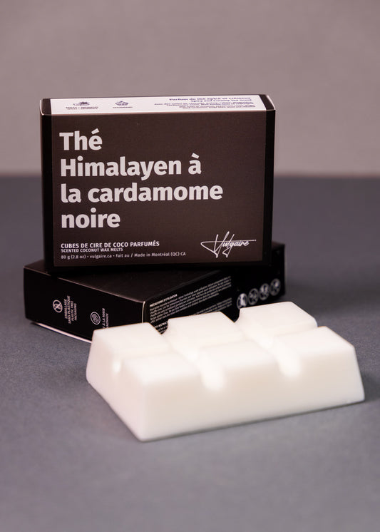 Cubes de cire Thé Himalayen à la cardamome noire