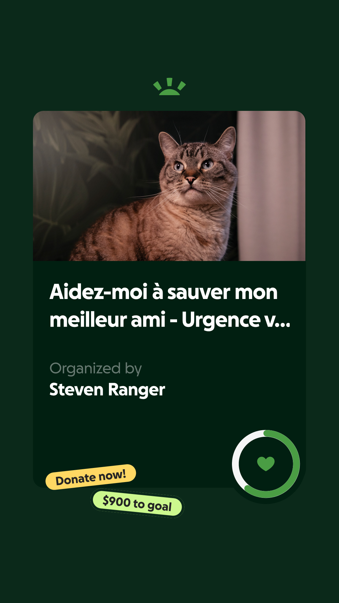 Candle Folle aux chats